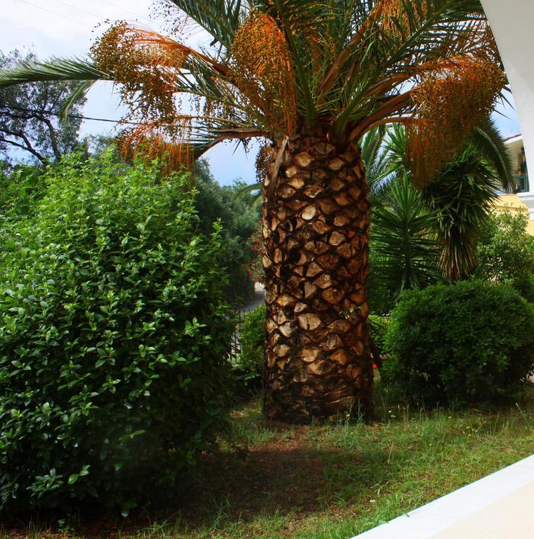 Lea Family Resort Kassiopi Exterior foto